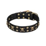 'Jolly Rojer' FDT Artisan Leather Dog Collar with Pirate Skulls and Studs for Great Dane
