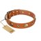 "Visual Magic" FDT Artisan Tan Leather Great Dane Collar for Daily Activities