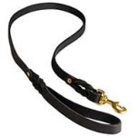 Decorated Leather Great Dane Leash