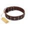 "Stars in Sands" Modern FDT Artisan Brown Leather Great Dane Collar with Studs and Stars
