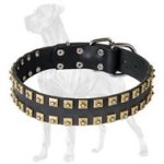 Unique Studded Leather Great Dane Collar