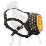 Royal Spiked Anti-Barking Leather Dog Muzzle Padded with Nappa