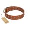"Enchanted Skulls" FDT Artisan Tan Leather Great Dane Collar with Chrome Plated Skulls