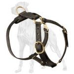 Lightweight Leather Great Dane Harness for Tracking, Pulling, Training