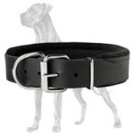 Top Quality Padded Leather Collar for Great Dane