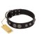 "Tricky Ricky" FDT Artisan Black Leather Great Dane Collar Adorned with Silver-Like Conchos