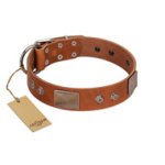 "Great Obelisk" Handcrafted FDT Artisan Tan Leather Great Dane Collar with Large Plates and Pyramids