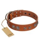 "Splendid Armor" Premium Quality FDT Artisan Tan Designer Great Dane Collar with Shields and Stars