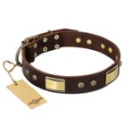 FDT Artisan 'Rich Fashion' Decorated Leather Great Dane Collar with Plates and Studs - 1 1/2 inch (40 mm) wide
