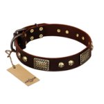 "Magic Amulet" Brown Leather Great Dane Collar with Skulls and Plates