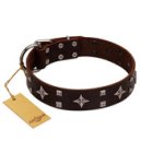 "Trendy Candy" FDT Artisan Brown Leather Great Dane Collar Adorned with Stars and Tiny Squares