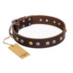 'Rare Flower' FDT Artisan Brown Leather Great Dane Collar