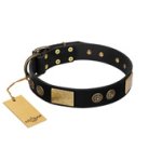 "Chicci-Glam" FDT Artisan Black Leather Great Dane Collar with Plates and Ornate Studs
