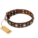 'Flower Melody' FDT Artisan Brown Leather Dog Collar with Mixed Studs