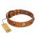 "Knights Templar" FDT Artisan Tan Leather Great Dane Collar with Skulls and Crossbones Combined with Squares