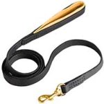 Leather Great Dane Leash with Padded Handle