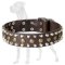 Leather Dog Collar with Studs and Pyramids for Great Dane