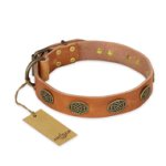 'Magic Amulet' FDT Artisan Tan Leather Great Dane Collar with Oval Studs