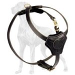 High-Quality Leather Harness for Great Dane Puppy
