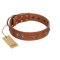 "Splendid Armor" Premium Quality FDT Artisan Tan Designer Great Dane Collar with Shields and Stars