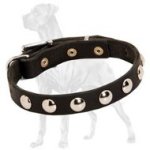 Great Dane Decorated Leather Collar | Half-Ball Studs