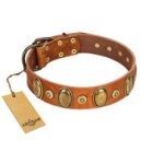 "Crystal Sand" FDT Artisan Tan Leather Great Dane Collar with Vintage Looking Oval and Round Studs