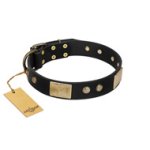 "Antique Gloss" FDT Artisan Black Leather Great Dane Collar with Bronze-like Plates and Small Studs