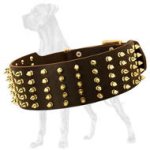 Wide Spiked Leather Great Dane Collar
