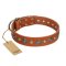 "Natural Beauty" FDT Artisan Tan Leather Great Dane Collar with Shining Silver-like Studs