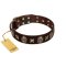 "Captain Hook" FDT Artisan Brown Leather Great Dane Collar with Stars and Skulls