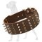 Spiked & Studded Genuine Leather Great Dane Collar