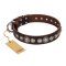 "Step and Sparkle" FDT Artisan Brown Leather Great Dane Collar with Stylish Studs