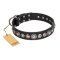"Strict Elegance" FDT Artisan Black Leather Great Dane Collar with Fancy Circular Studs