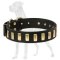 Deluxe Great Dane Collar with Brass Plates
