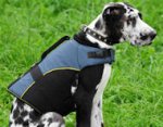 Nylon Vest Harness with Handle for Great Dane Breed