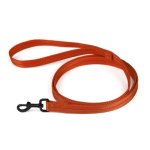 Nylon Traffic Leash_5