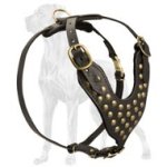 Adjustable Studded Leather Harness for Great Dane Breed