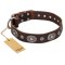 'Extra Pizzazz' FDT Artisan Adorned Brown Leather Great Dane Collar