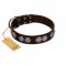 "High and Mighty" FDT Artisan Classy Brown Leather Great Dane Collar with Embellished Brooches