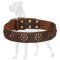 Tremendous Leather Great Dane Collar with Flower Adornments