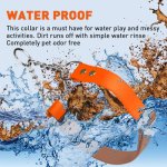 Biothane Martingale Collar_1