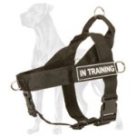 Identification Nylon Great Dane Harness for Different Activities