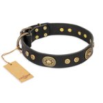 'Golden Radiance' FDT Artisan Black Leather Great Dane Collar with Old Bronze Look Ovals and Circles