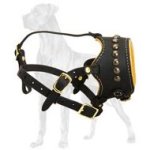 No Barking Leather Muzzle for Great Dane