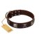 "Nut-Brown Finery" Embellished FDT Artisan Brown Leather Great Dane Collar with Chrome Plated Crossbones and Plates