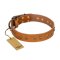 'Autumn Story' FDT Artisan Tan Leather Great Dane Collar with Old Bronze Look Studs - 1 1/2 inch (40 mm) wide