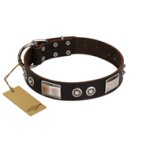 "Baller Status" FDT Artisan Brown Leather Great Dane Collar Adorned with a Set of Chrome Plated Studs and Plates