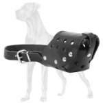 Easy Adjustable Leather Great Dane Muzzle for Walking