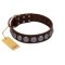 "Charming Circles" FDT Artisan Brown Leather Great Dane Collar with Silver-like Studs