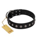 "Silver Flower" Exclusive FDT Artisan Black Leather Great Dane Collar with Silver-Like Studs